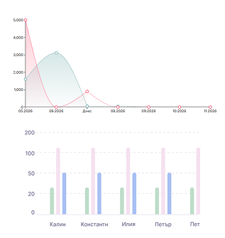 Income and expense charts
